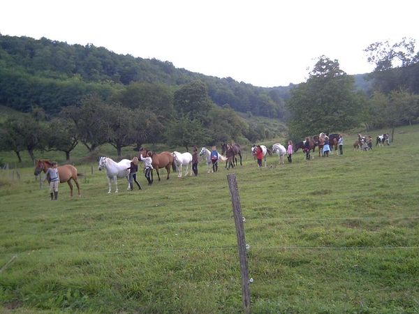 My beautiful picture