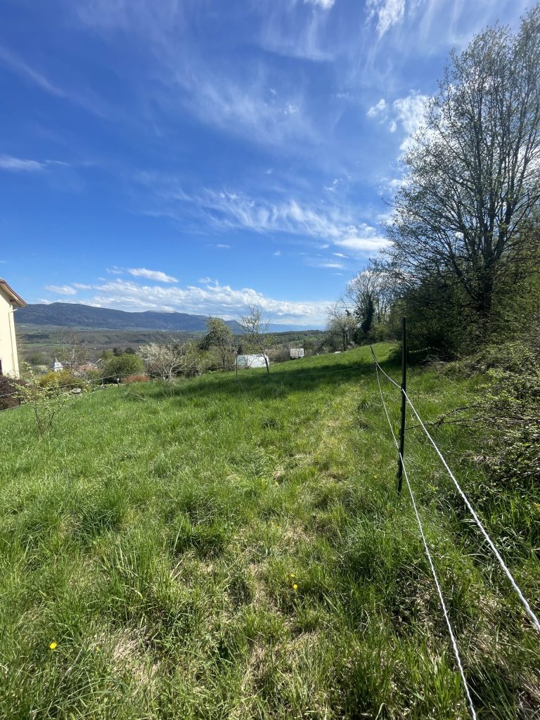 Paddock-et-vue-scaled-1.jpeg