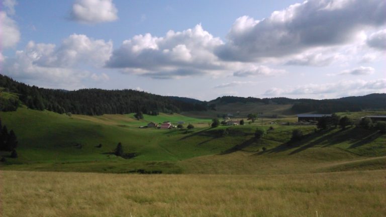 aeln-8cc53f5a08c8b208d0d098602ed06dbc