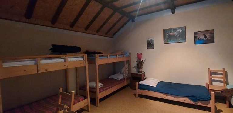 c458e5ad49b2e971781204715b2819f7-20240809-185327-1600x0