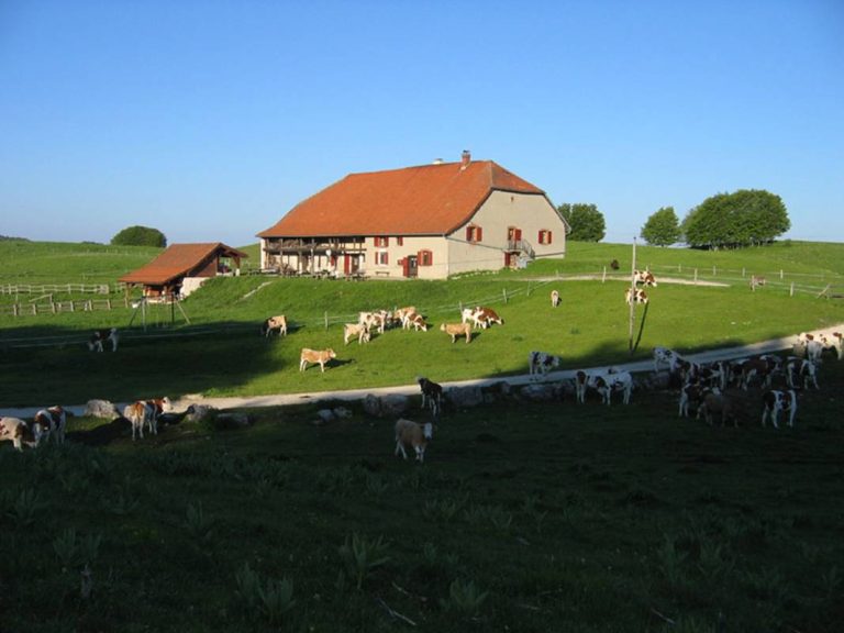 Software: Microsoft Office