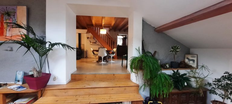 WhatsApp Image 2026-03-25 at 12.48.31 2