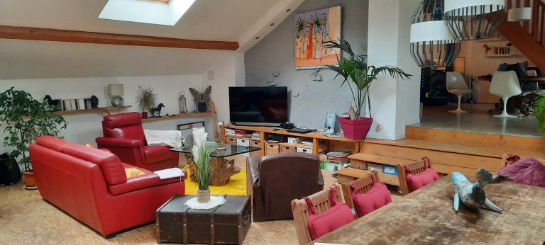 WhatsApp Image 2026-03-25 at 12.48.32