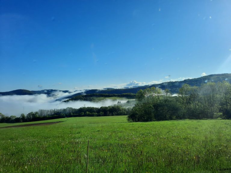 WhatsApp Image 2026-03-25 at 12.48.33 4